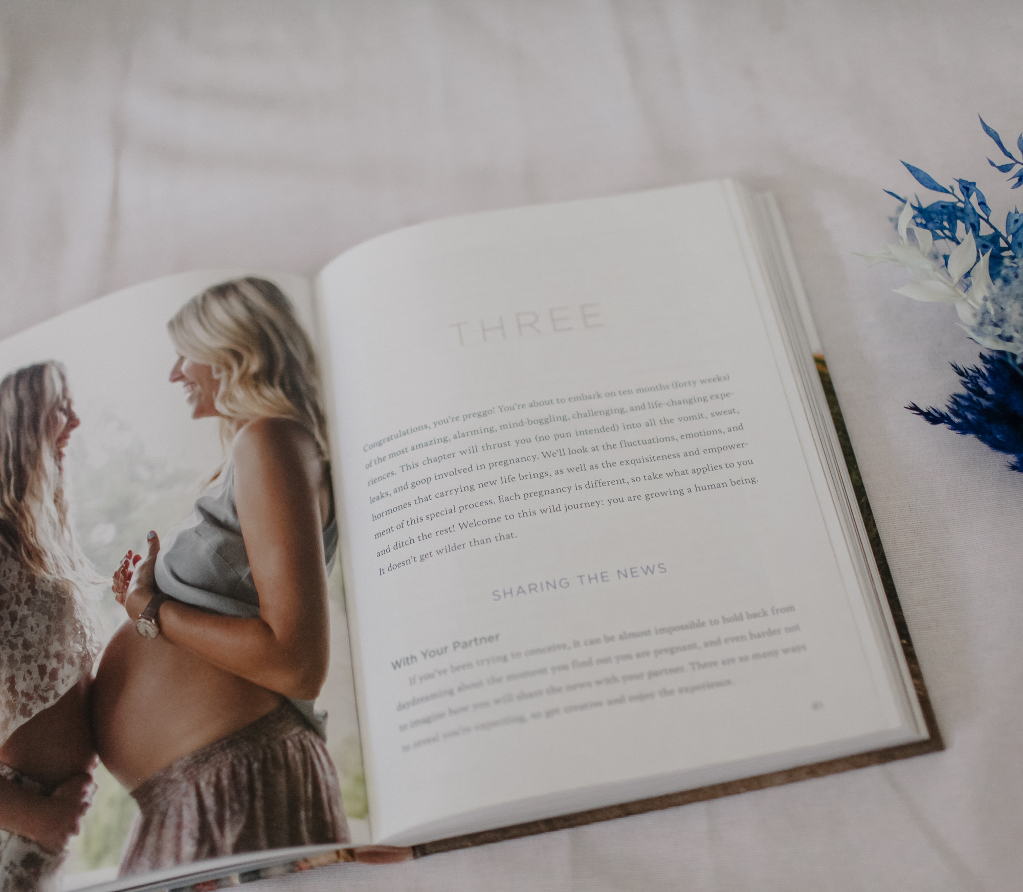 The Zen Mama Guide to Finding Your Rhythm in Pregnancy, Birth, and Beyond